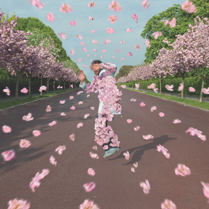 男人添女人阴帝全视频
