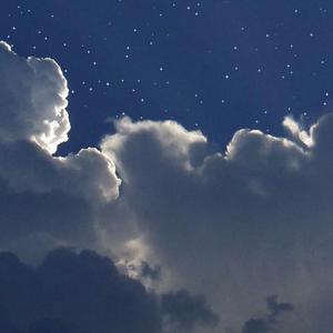 男人添女人阴帝全视频
